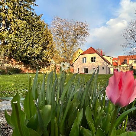 Appartamento Om Yoga Center Slovenska Bistrica Esterno foto