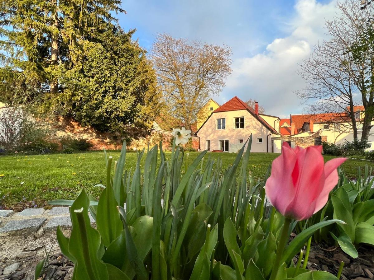 Appartamento Om Yoga Center Slovenska Bistrica Esterno foto