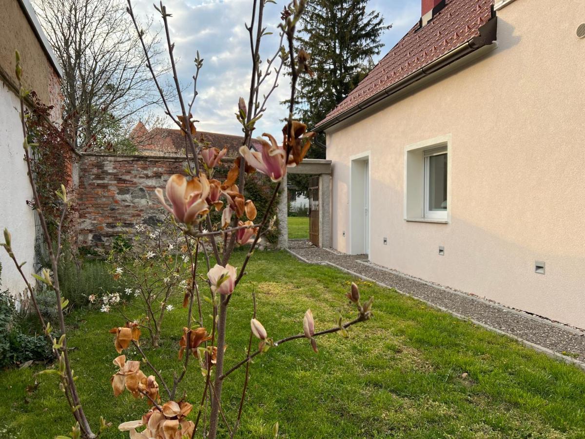 Appartamento Om Yoga Center Slovenska Bistrica Esterno foto
