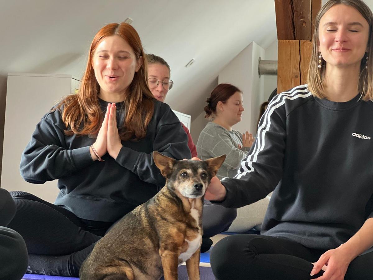 Appartamento Om Yoga Center Slovenska Bistrica Esterno foto